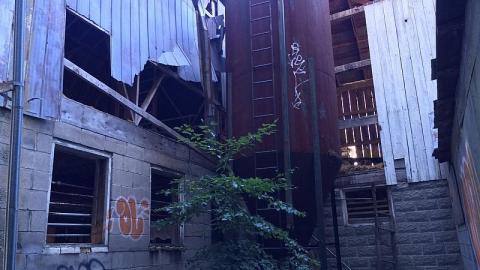 Big Farm - whimage.jpeg