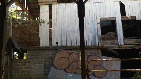 Big Farm - duimage.jpeg