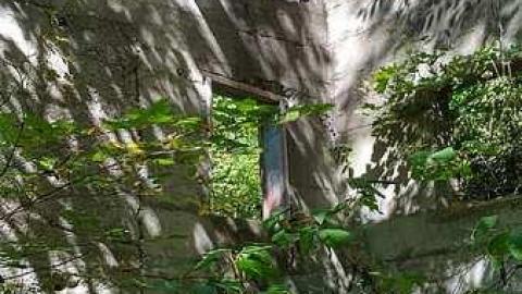 9/24/16 - Croton-Hydroelectric-Dam17.jpg