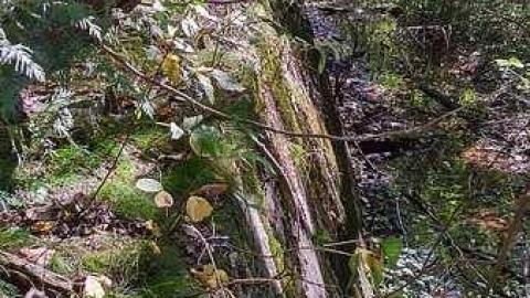 9/24/16 - Croton-Hydroelectric-Dam6.jpg