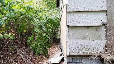 Altona Secondary No.16 - Altona-(ghost-town)91.jpg