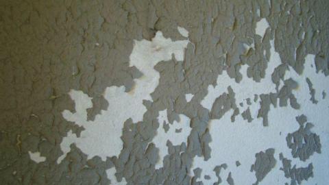 Gallery - DSC02516.jpg