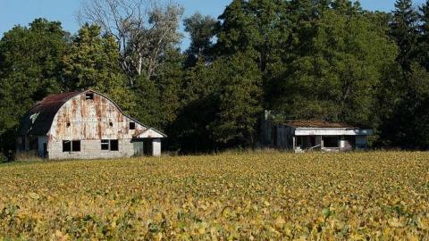 Photo from House of Tires - 25/09/2016