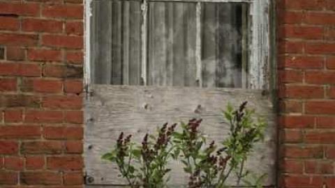 James Mitchell House - The-Prettiest-Street287.jpg