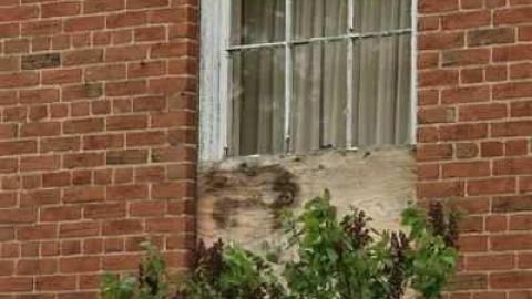 James Mitchell House - The-Prettiest-Street290.jpg