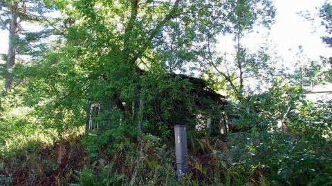 Photo from September '16