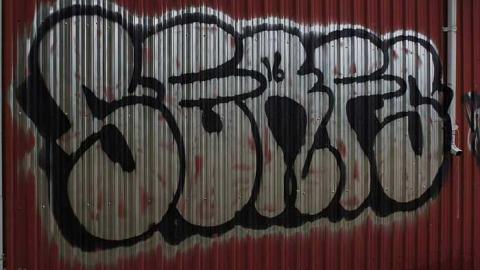 26/09/2016 - Rainy Greenhouse - Royal-City-Nursery6.jpg