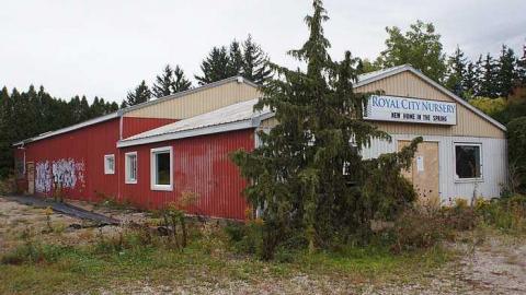 26/09/2016 - Rainy Greenhouse - Royal-City-Nursery8.jpg