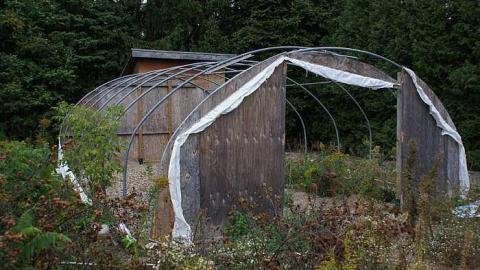 26/09/2016 - Rainy Greenhouse - Royal-City-Nursery9.jpg