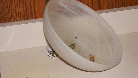 26/09/2016 - Rainy Greenhouse - Royal-City-Nursery14.jpg