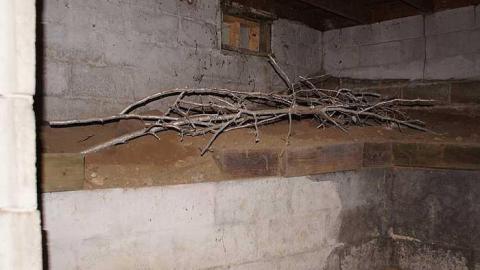 26/09/2016 - Rainy Greenhouse - Royal-City-Nursery1.jpg