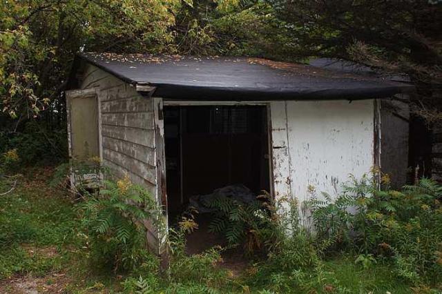 Royal City Nursery photo 2