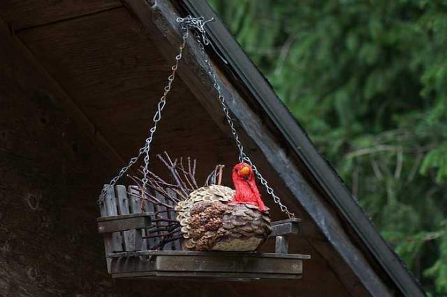 Royal City Nursery - Guelph, Ontario