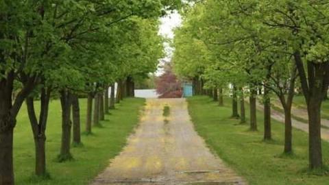 The Prettiest Street photo 3