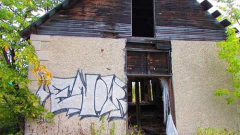 Fog Farm - IMG_2826.jpg