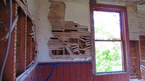 Fog Farm - IMG_2828.jpg