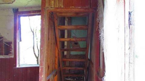 Fog Farm - IMG_2829.jpg