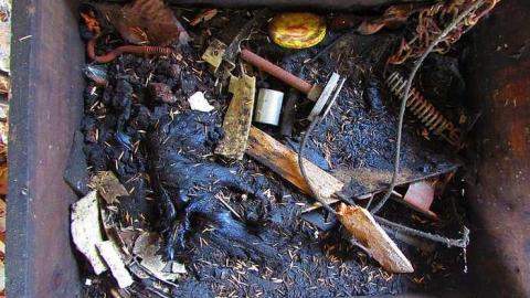 Fog Farm - IMG_2830.jpg