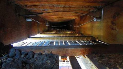 Fog Farm - IMG_2836.jpg