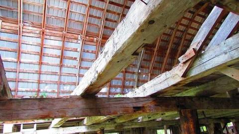 Fog Farm - IMG_2848.jpg