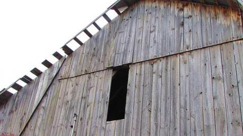 Fog Farm - IMG_2850.jpg