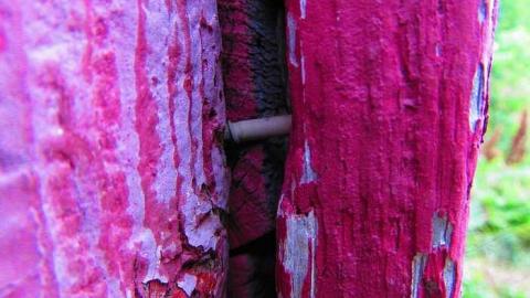 Barn - Luskville-Falls-Farm5.jpg