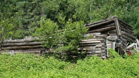 Gallery - DSC02518.jpg