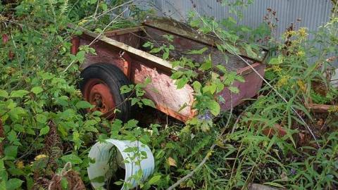 Photo from 27/09/2016 - Damn Vandals