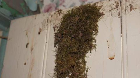 27/09/2016 - Damn Vandals - DSC00110.jpg