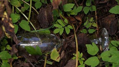 27/09/2016 - Damn Vandals - DSC00134.jpg