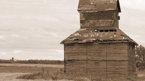 Bird House - Grain-Ventalator5.jpg