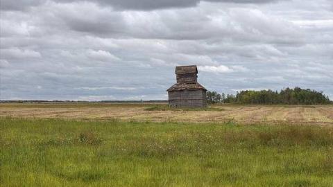 Bird House - Grain-Ventalator2.jpg