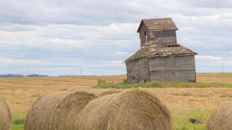 Bird House - Grain-Ventalator6.jpg