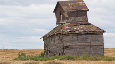 Bird House - Grain-Ventalator3.jpg