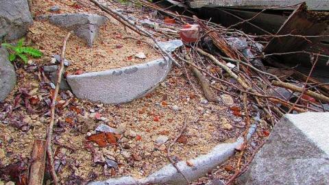 River Front  - Lemieux-Island2.jpg