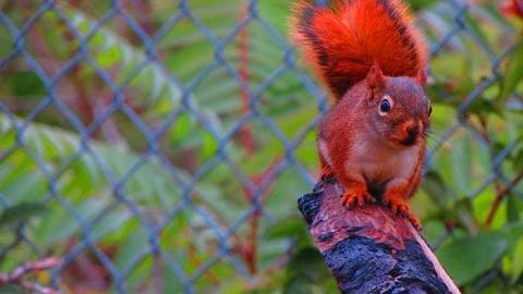 River Front  - Lemieux-Island25.jpg