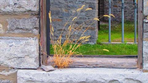 Case - Wilson-Eddie-Carbide-Mill7.jpg