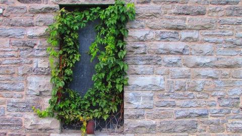 Case - Wilson-Eddie-Carbide-Mill14.jpg