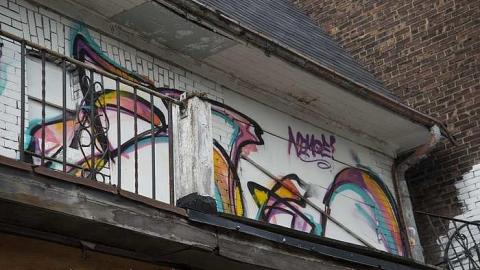 Photo from Paint Covered House