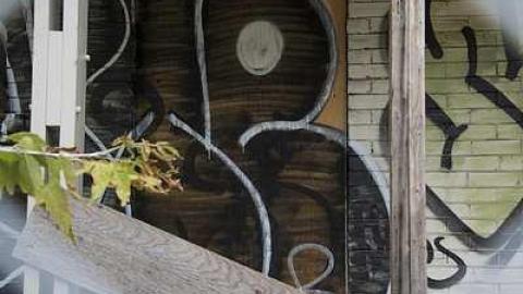 Photo from Paint Covered House