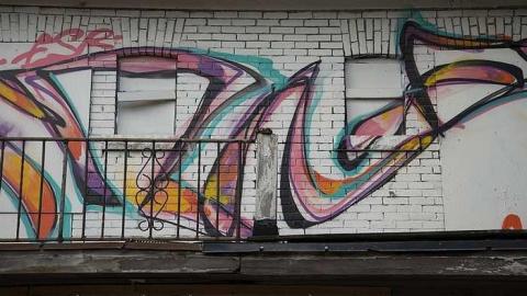 Paint Covered House - _DSC2695.jpg