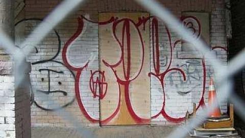 Photo from Paint Covered House