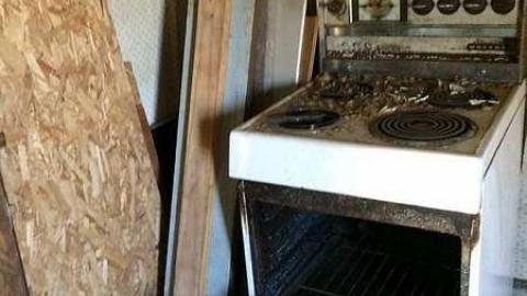 Kenilworth House - IMG_1336.jpg