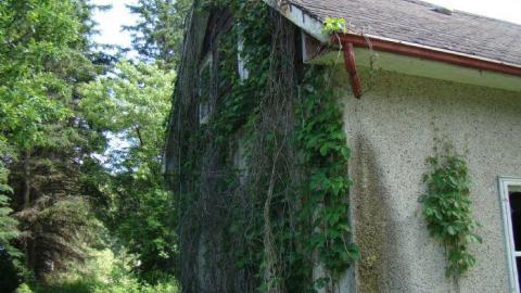 Gallery - DSC02523.jpg