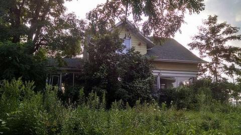 Photo from Aug 2015 - Outside