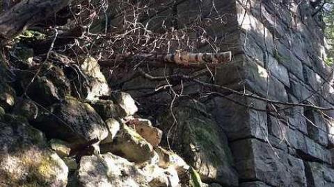 Photo from Summer 2016