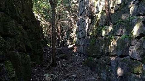 Photo from Summer 2016