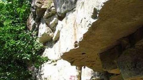 Photo from Summer 2016