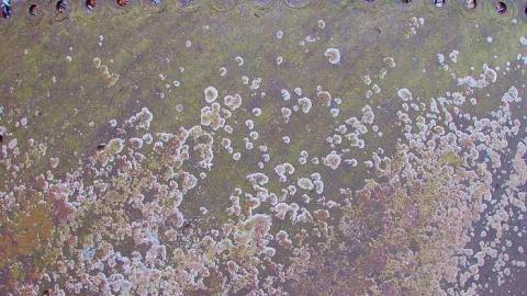 Carbide ruins - IMG_8943.jpg