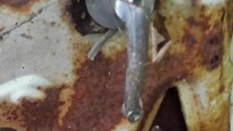 1950s Car Wreck - 1950s-car-wreck7.jpeg